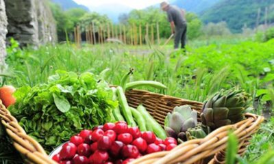 Producción agrícola