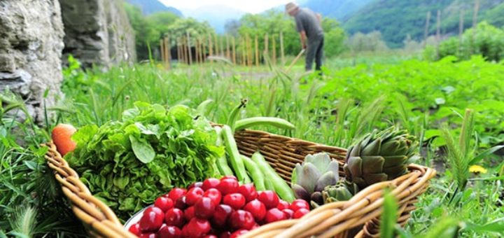 Producción agrícola