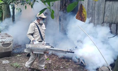 limpieza y fumigación