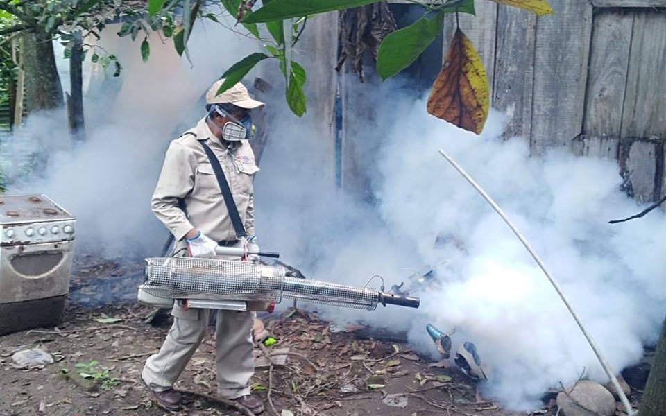 limpieza y fumigación