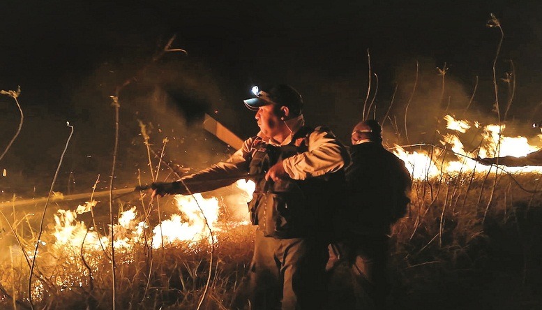 incendios Santa Cruz