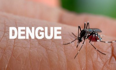 Dengue en Bolivia