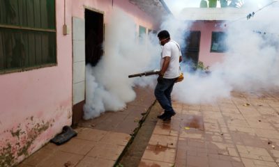 Lucha contra el Dengue