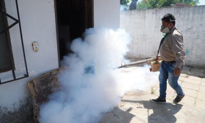 Dengue en Santa Cruz