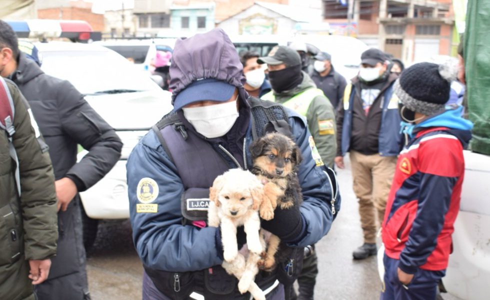 Rescatan a varios animales en la Feria 16 de Julio en El Alto La Paz