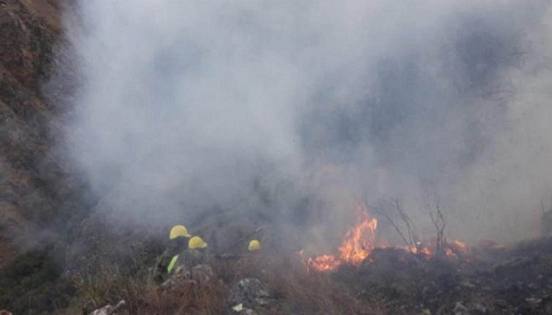 Incendio en el Chaco boliviano