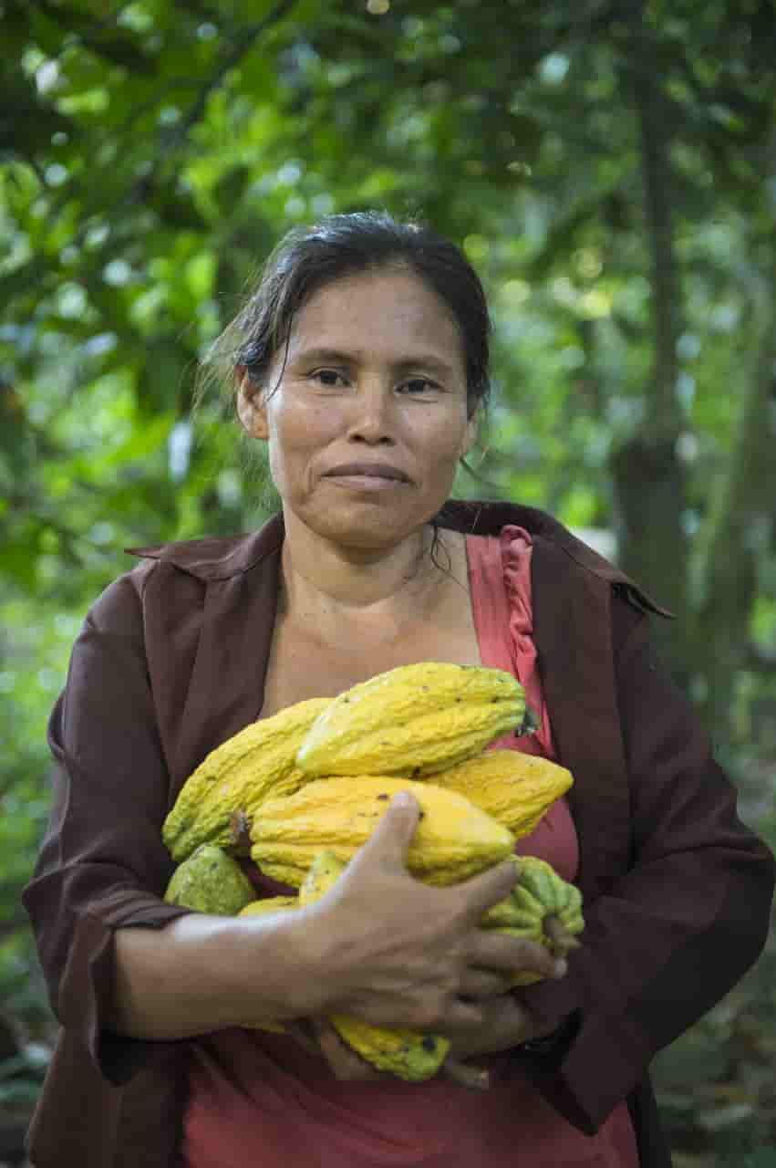 Cacao Boliviano