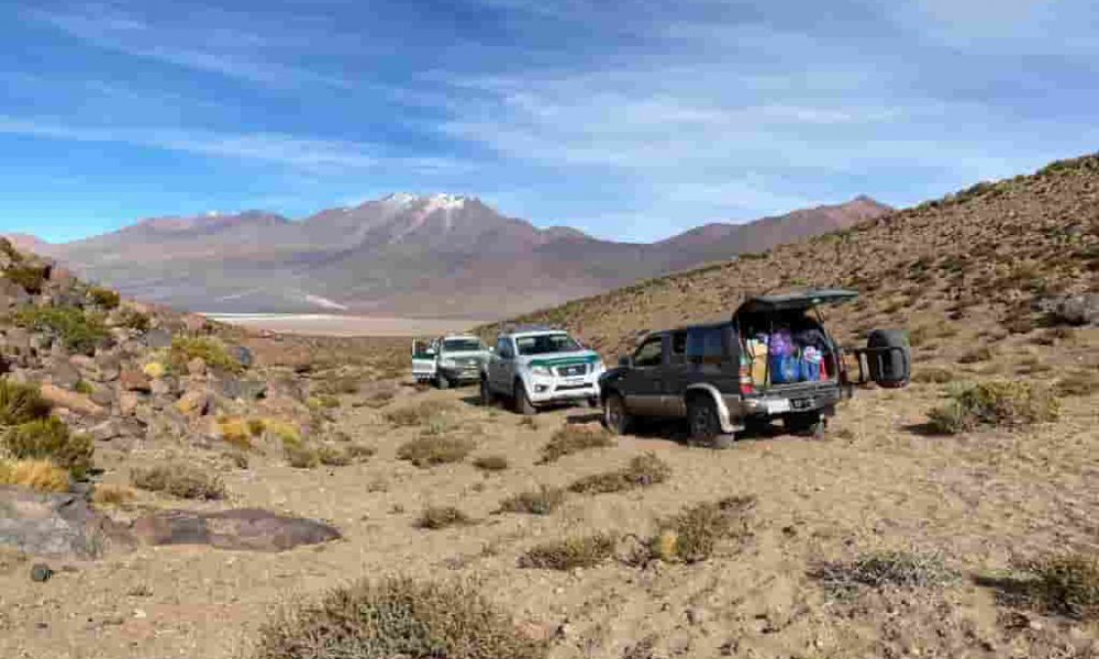 Detienen a cuatro bolivianos en Salta