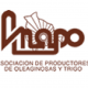 Asociación_de_Productores_de_Oleaginosas_y_Trigo