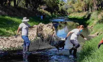 Limpieza del río Rocha