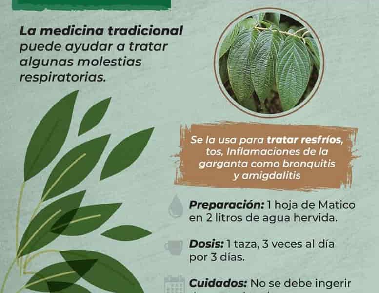 Plantas_medicinales