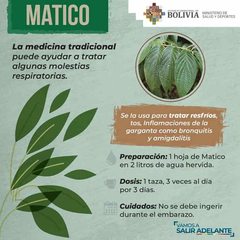 Plantas_medicinales