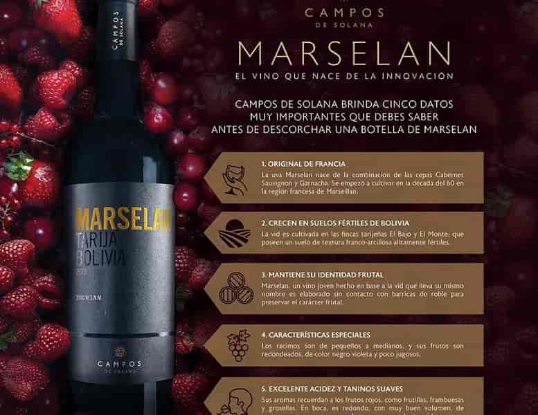 vino_Marselan