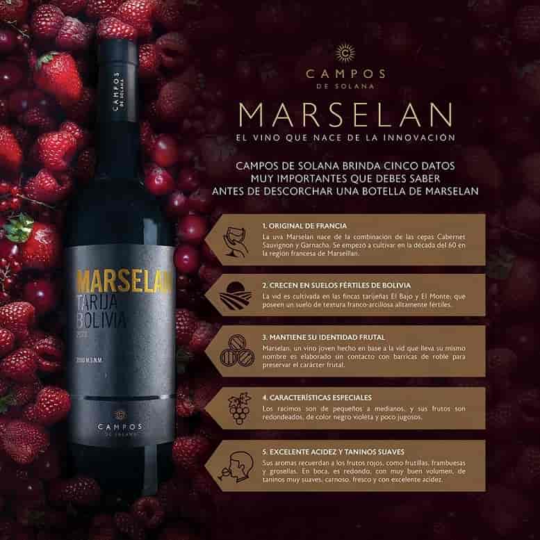 vino_Marselan