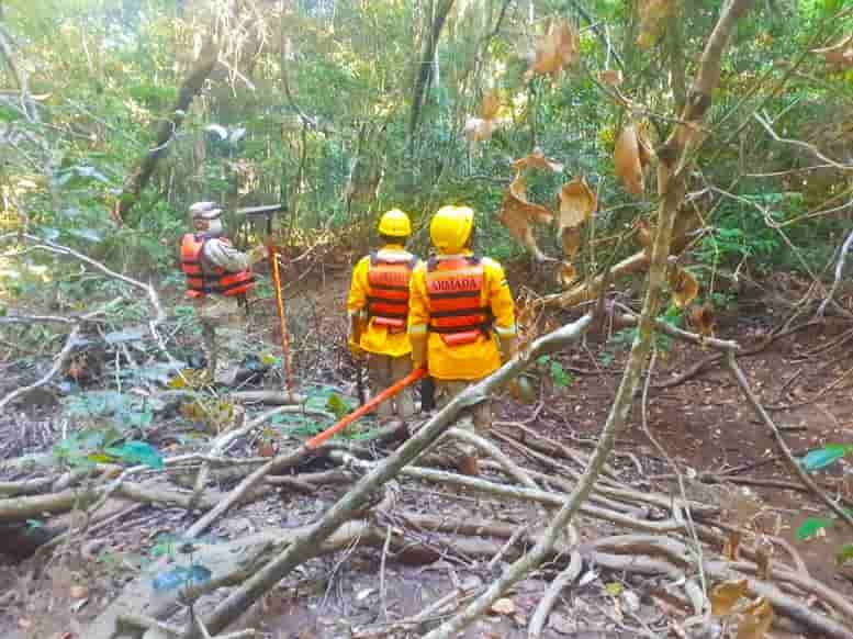 Prevención_de_incendios