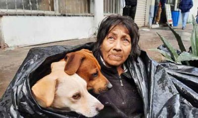 Mujer duerme con perros en la calle en Mexico