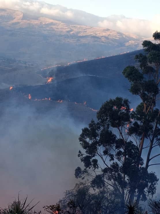 Incendios-forestales