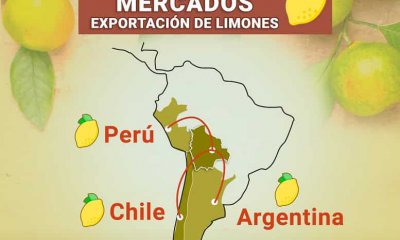 Exportación_de_limón