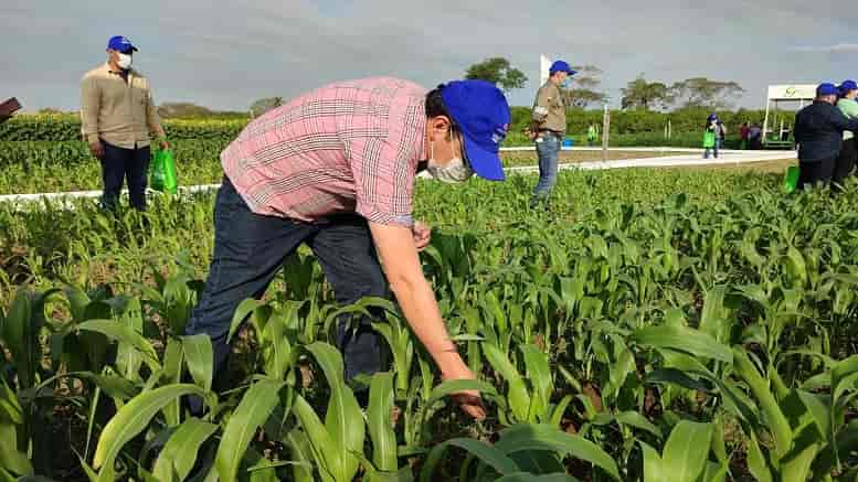 Planta_de_urea_amoniaco