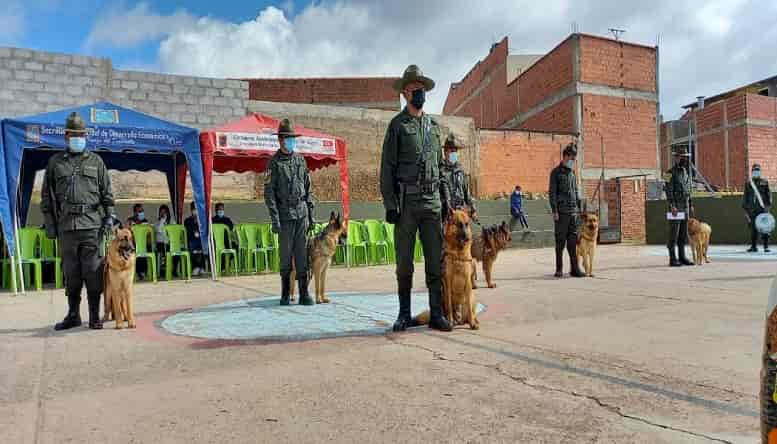 Perros policias