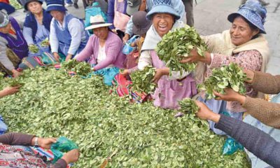 Día del Acullico en Bolivia