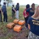 Cocaina en Pergamino