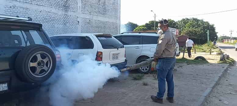 Lucha contra el dengue