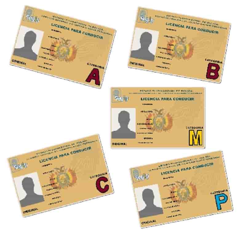 Tipos de licencia de conducir