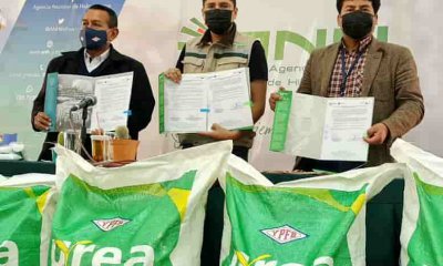 Producción de Urea
