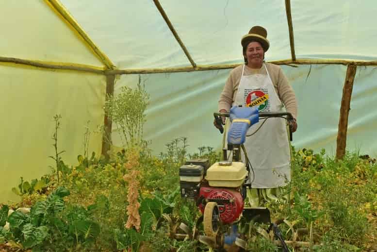 Mujeres agrícolas