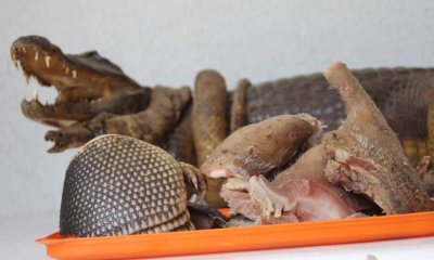 Carne silvestre en las cabañas del Piraí