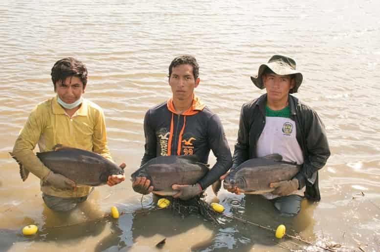 Desarrollo de la pesca en Bolivia