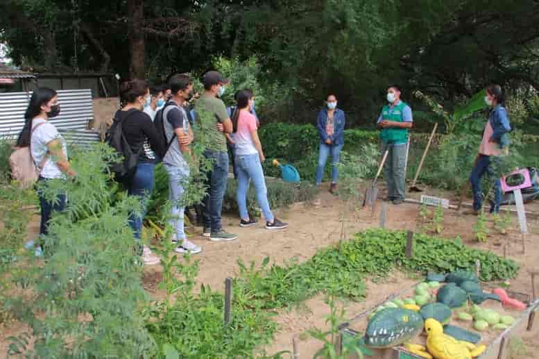 práctica de agronomía