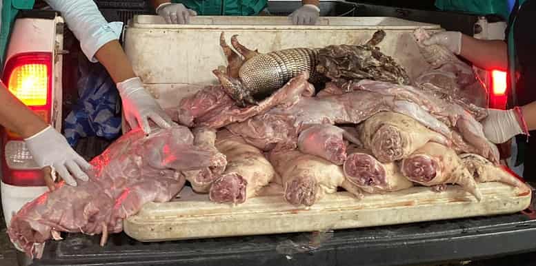 Carne silvestre decomisada