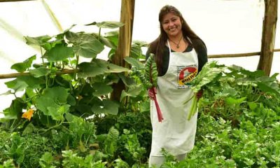 Empresa gubernamental agropecuaria