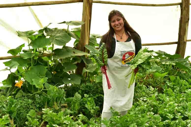 Empresa gubernamental agropecuaria