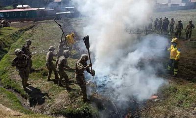 entrenamiento de bomberos forestales
