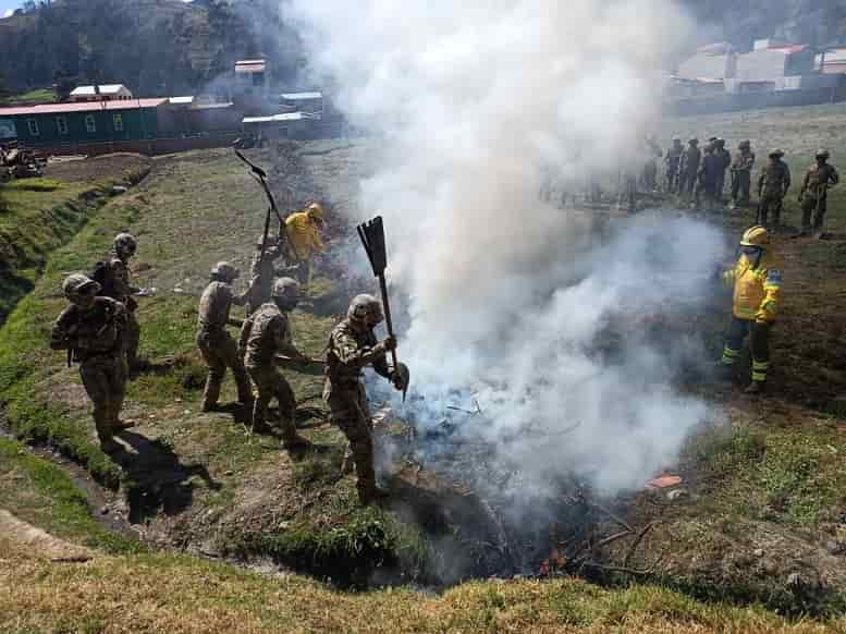 entrenamiento de bomberos forestales