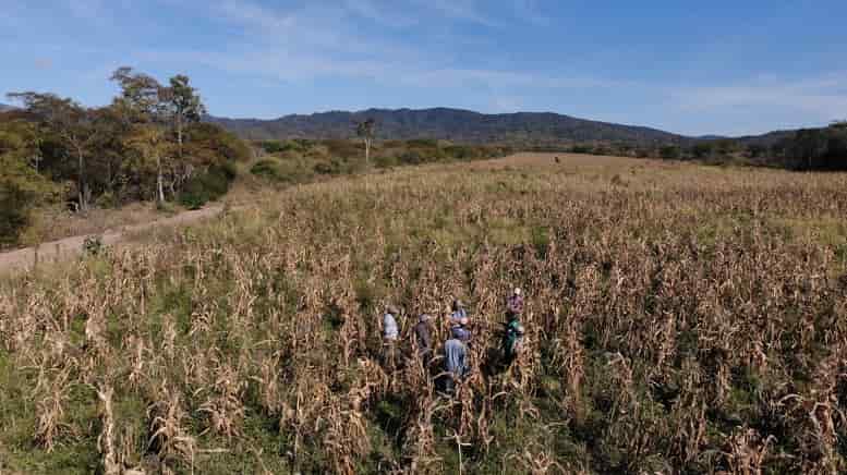 Sequia en Charagua