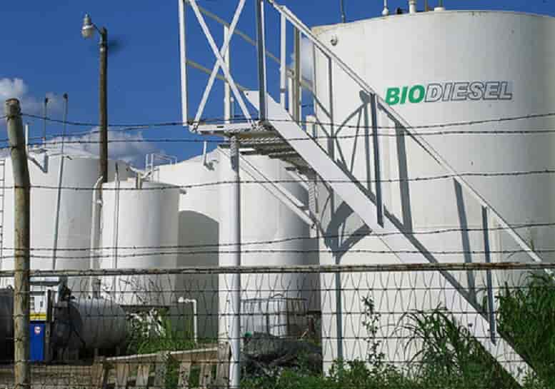 Producción de biodiesel
