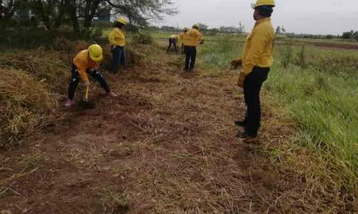 Incendios forestales