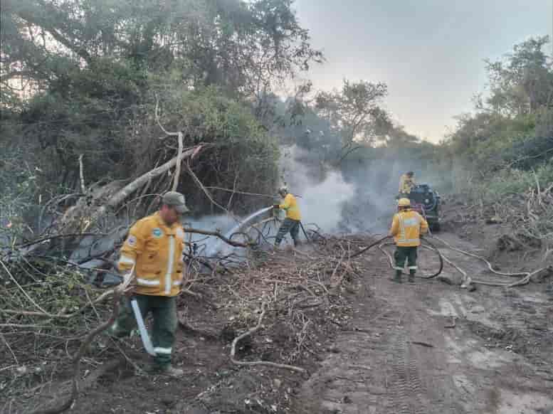 incendio forestal