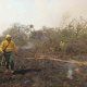 Bomberos forestales