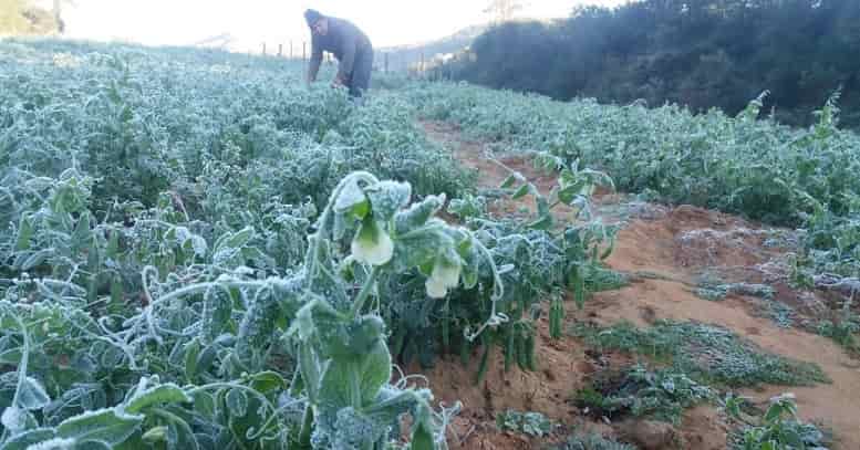 Invierno con nevadas