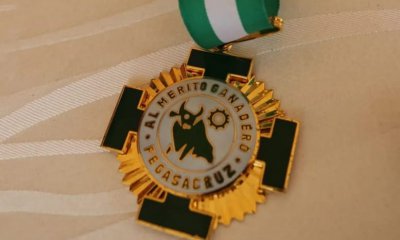 Medalla al “Mérito Extraordinario”