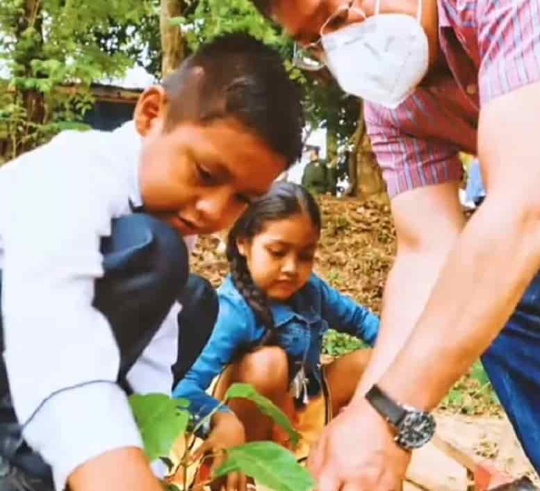 Día del árbol