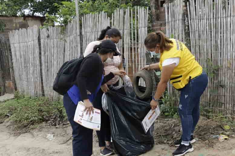 Lucha contra el dengue