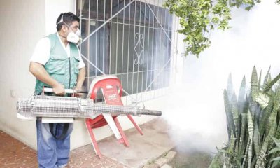 Lucha contra el dengue