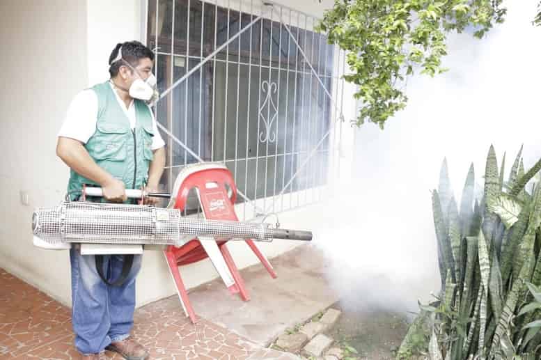 Lucha contra el dengue