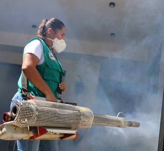 Lucha contra el Dengue
